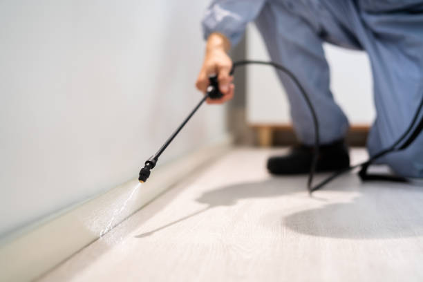 Licensed Termite Control service in Sale Creek, TN - Nex Pest Control