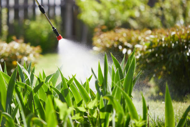 24/7 Emergency Termite Control experts in Sale Creek, TN