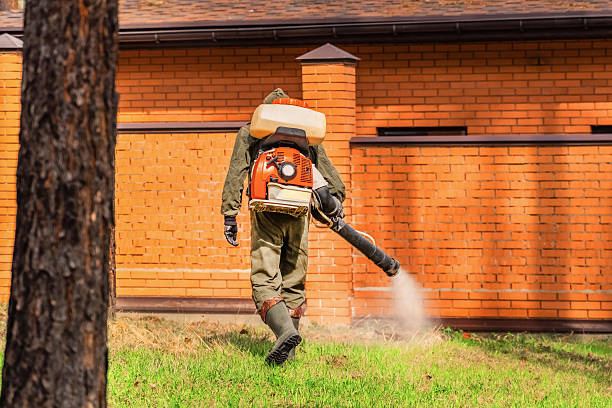 Trusted Rodent Control service in Sale Creek, TN - Nex Pest Control